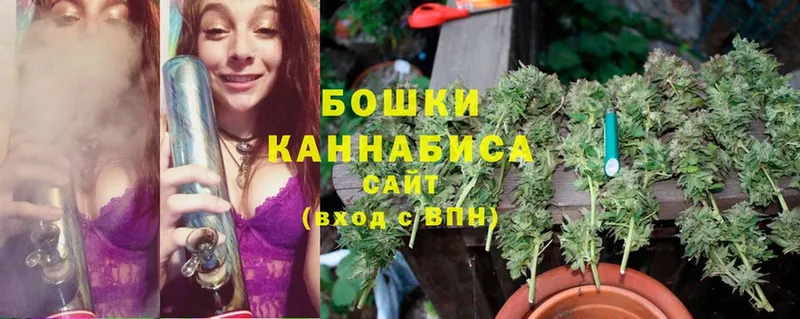 Конопля SATIVA & INDICA  Амурск 